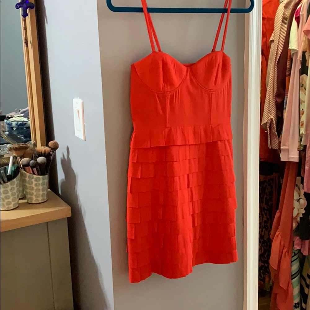 BB Dakota Dress